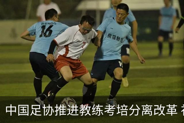 中国足协推进教练考培分离改革 社会力量可参与教练培训